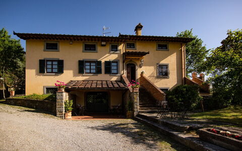 Villa degli Olivi: Plant, Sky, Building, Window, Tree, House, Wood, Cottage, Door, Residential Area