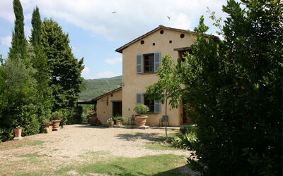 Collina Dei Fiori