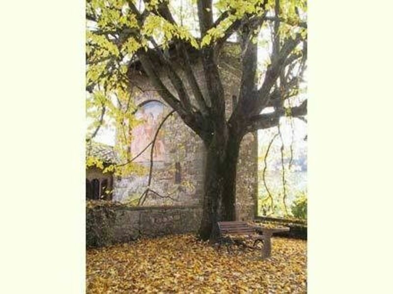 Accommodation:&nbsp;San Martino