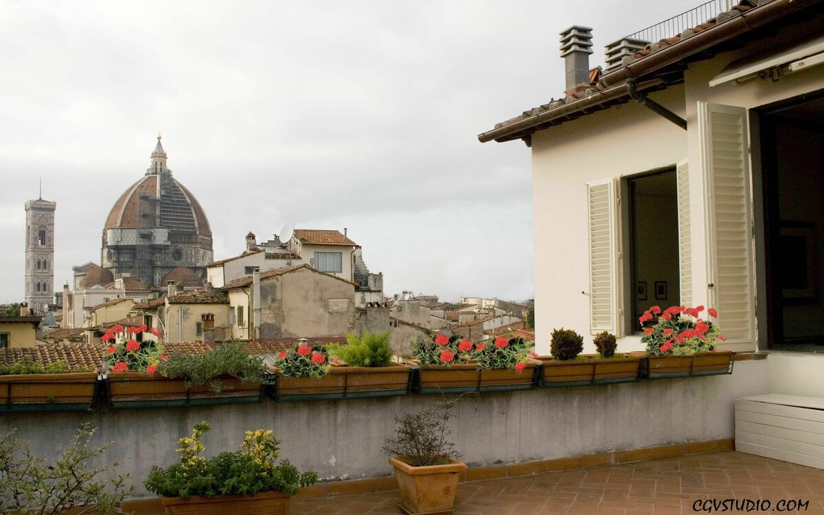 View from the Terrace