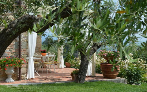 Nel Guasto: Tree, Property, Garden, Plant, Botany, Backyard, Yard, Woody Plant, Flower, Landscaping