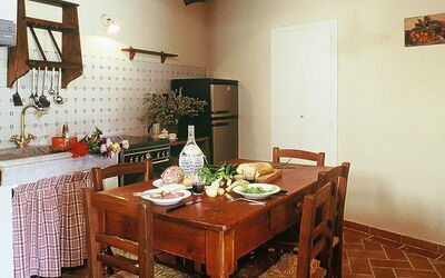 Accommodation:&nbsp;Lavanda