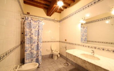 Accommodation:&nbsp;Mimosa
