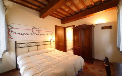 Accommodation:&nbsp;Mimosa