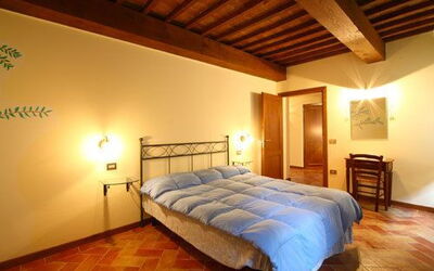 Accommodation:&nbsp;Mimosa