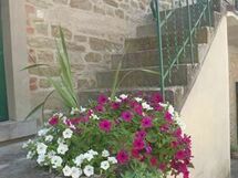 Villa Polvano Polvano 2 - the entrance and the flowers