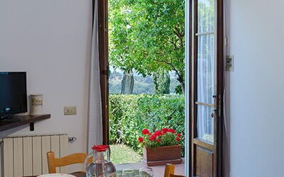 Accommodation:&nbsp;Carmignano