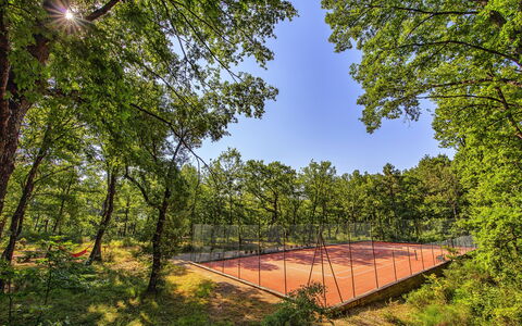 Villa Sant' Angelo: Nature, Tree, Natural Landscape, Natural Environment, Sky, Nature Reserve, Forest, Woodland, Biome, Leaf