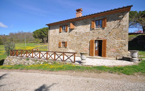Tabaccaia