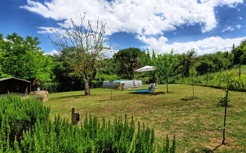 Villa Diletta: Natural Landscape, Vegetation, Green, Property, Land Lot, Grassland, Grass, Nature Reserve, Pasture, Natural Environment