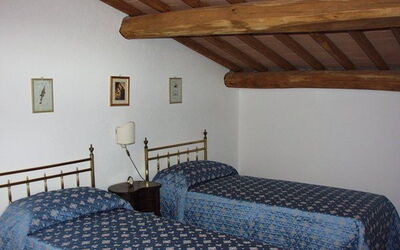Accommodation:&nbsp;Robinia
