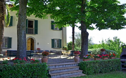 Villa Buonaparte: Property, House, Building, Home, Real Estate, Tree, Estate, Courtyard, Residential Area, Yard
