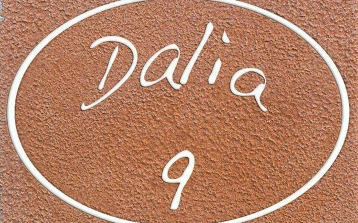 Accommodation:&nbsp;Dalia