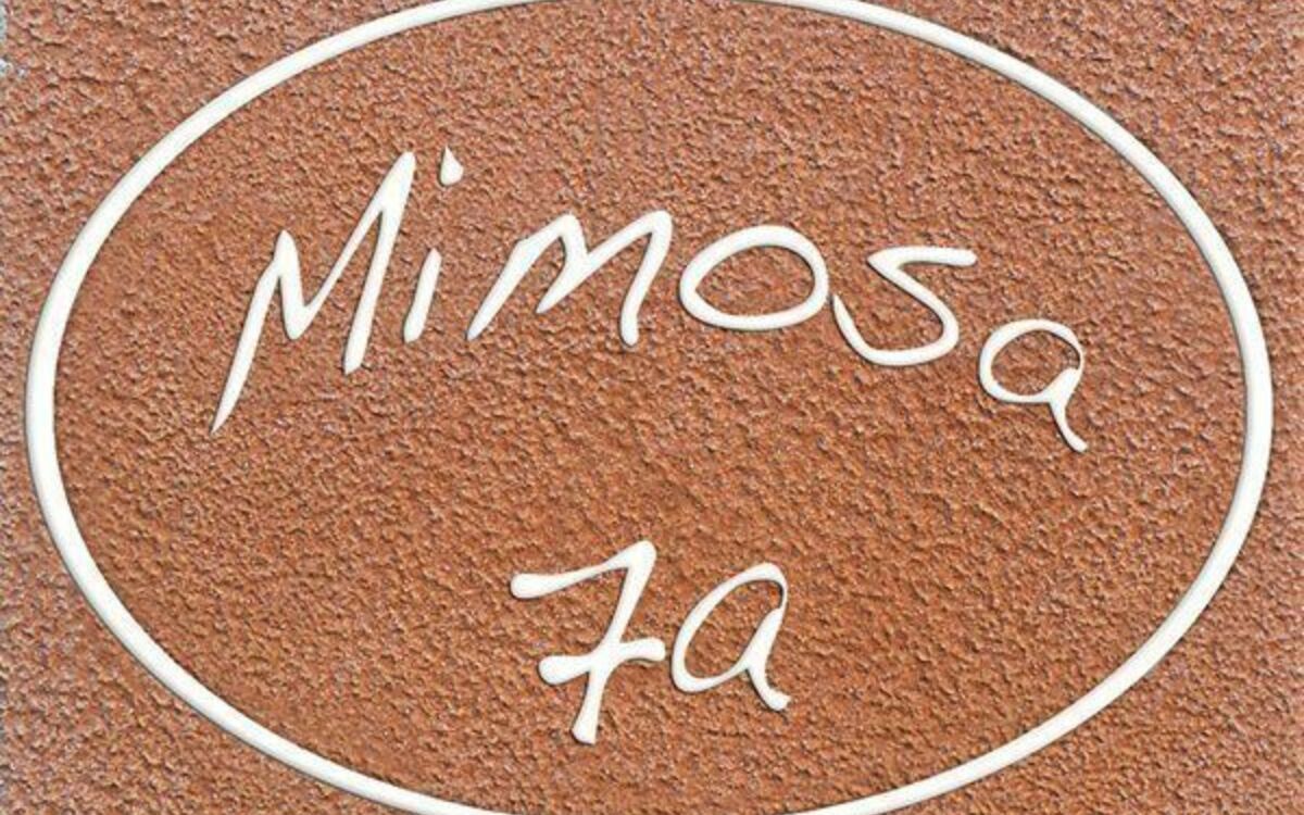 Accommodation:&nbsp;Mimosa