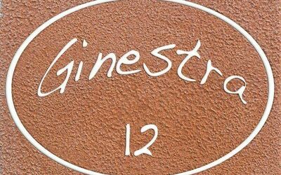 Ginestra