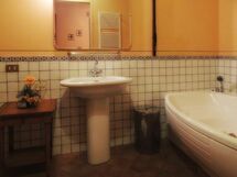 Accommodation:&nbsp;Mimosa