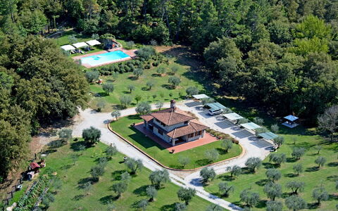 La Casetta nel Bosco: Property, Plant, Building, Land Lot, Urban Design, Tree, Grass, Leisure, Residential Area, Rural Area