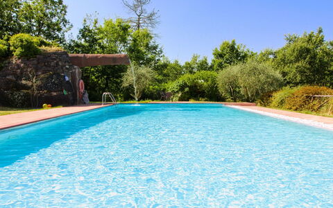 La Casetta nel Bosco: Estate, Farmhouse, Garden, Landscaping, Hacienda, Lawn, Villa, Yard, Backyard, Mansion