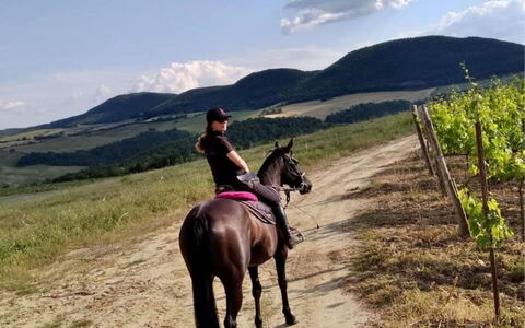 La Casetta nel Bosco: Horse, Sky, Cloud, Plant, Mountain