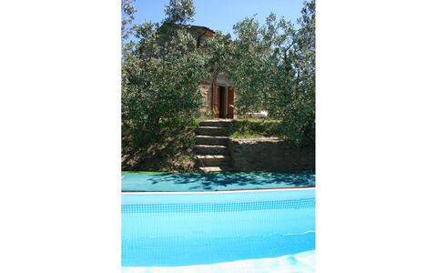 La Casina del Bosco: Plant, Water, Swimming Pool, Rectangle, Tree, Natural Landscape, Sky, Chair, Outdoor Furniture, Shade