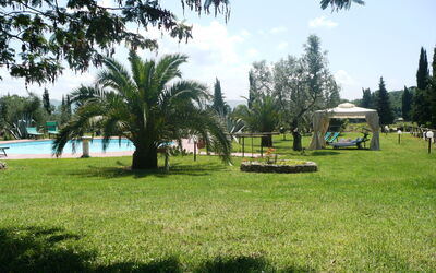 Suvereto