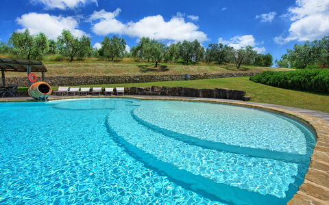 Villa Ferdinando: Cloud, Sky, Water, Plant, Daytime, Swimming Pool, Nature, Azure, Natural Landscape, Tree