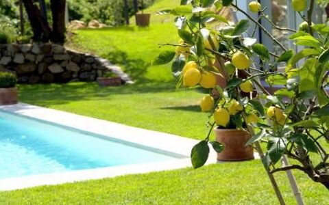 La Limonaia