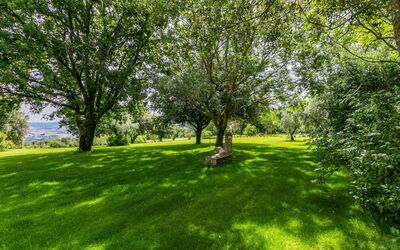 Accommodation:&nbsp;Mandorlo 100.3
