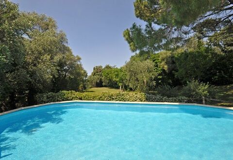 Il Principe: Swimming Pool, Property, Natural Landscape, Water, Leisure, Real Estate, Estate, House, Tree, Vacation
