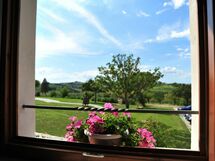 Accommodation:&nbsp;Room Swing