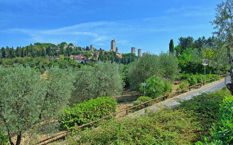 Poggiluglio: Vegetation, Tree, Biome, Wilderness, Sky, Urban Area, Botany, Plant, Hill, Garden