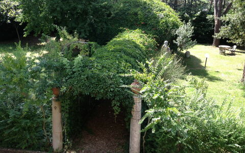 Villa Quattro Mori: Plant, Land Lot, Tree, Grass, Evergreen, Woody Plant, Groundcover, Hedge, Shrub, Natural Landscape