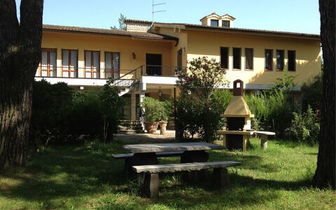 Villa Quattro Mori: Plant, Building, Sky, Property, Window, Tree, Shade, Land Lot, Residential Area, Grass