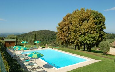 Vecchio Fienile Apartments: Swimming Pool, Property, House, Real Estate, Villa, Estate, Grass, Building, Vacation, Farmhouse