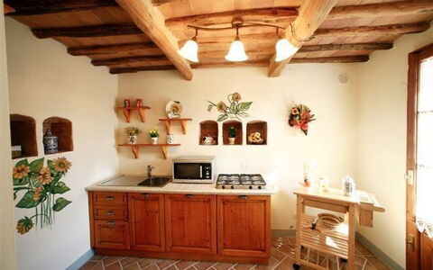 Accommodation:&nbsp;Zefiro
