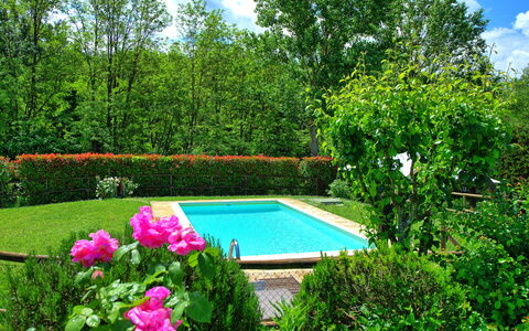 Casa Ovile: Water, Plant, Cloud, Flower, Sky, Nature, Botany, Natural Landscape, Tree, Swimming Pool
