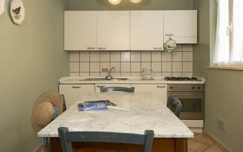 Accommodation:&nbsp;Barbara 250.2
