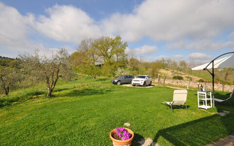 Capannino: Grass, Property, Lawn, Land Lot, Tree, Grassland, Spring, Garden, Yard, House