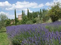 La Fornace Del Molinello