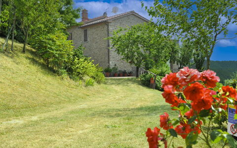 Casetta i Ciliegi: Garden, Cottage, Farmhouse, Shade, Landscaping, Estate, Yard, Backyard, Stone Wall, Hacienda