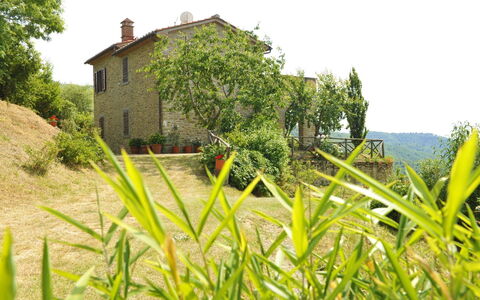 Casetta i Ciliegi: Plant, Sky, Plant Community, Building, Window, Tree, Natural Landscape, Land Lot, Vegetation, House