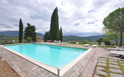 Martino