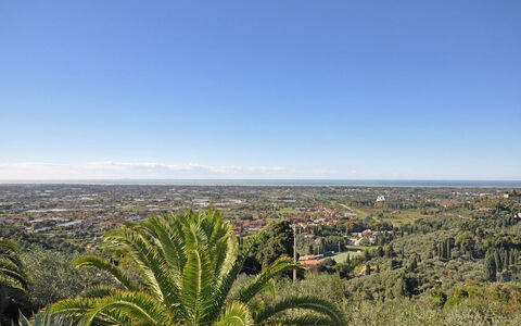 Villa Camaiore: Vegetation, Sky, Tree, Plant Community, Shrubland, Botany, Palm Tree, Horizon, Plant, Hill