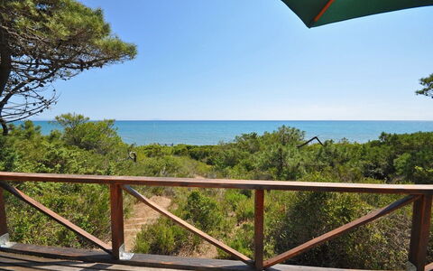 Casamare: Property, Vegetation, Sky, Real Estate, Nature Reserve, Vacation, Tree, House, Ocean, Balcony