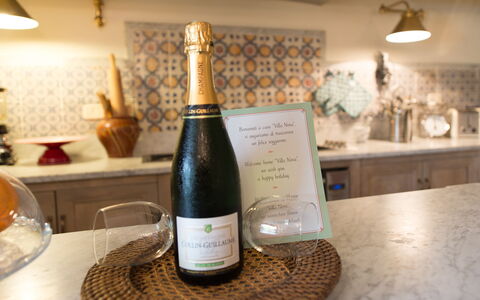 Villa Nova: Drink, Champagne, Wine, Alcoholic Beverage, Glass Bottle, Bottle, Wine Bottle, Liqueur