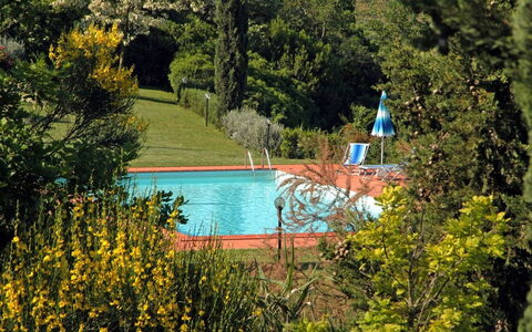 Le Colline