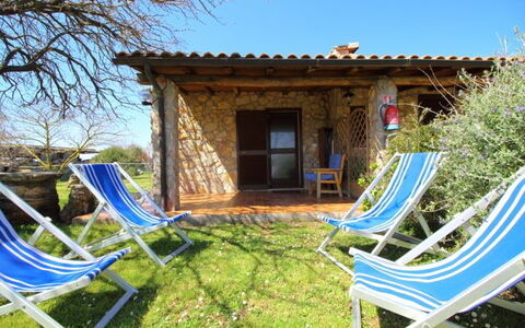 Funghi 1: Property, House, Building, Cottage, Tree, Villa, Backyard, Real Estate, Leisure, Home