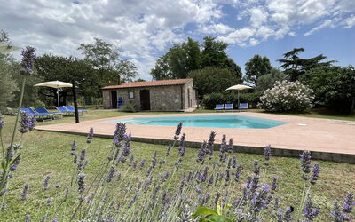 Funghi 1: Cloud, Plant, Sky, Water, Flower, Swimming Pool, Tree, Grass, Natural Landscape, Leisure