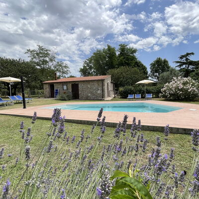 Funghi 1: Cloud, Plant, Sky, Water, Flower, Swimming Pool, Tree, Grass, Natural Landscape, Leisure