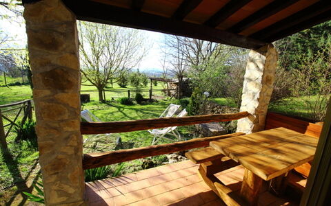 Funghi 2: Property, Natural Landscape, Room, Building, House, Tree, Porch, Real Estate, Cottage, Landscaping